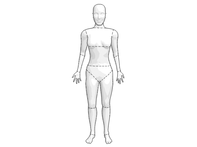 segmenty těla
