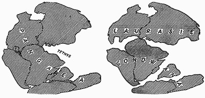Obr. 3 Příklad rozpadu kontinentů. Rozpad Pangei na Laurasii a Gondwanu a následně dnešní kontinenty.