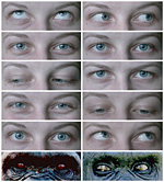 Porovnání lidského oka s okem lidoopů