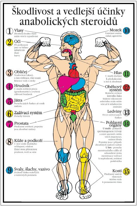 Negativní účinky anabolických steroidů (plakát Antidopingového výboru ČR, 2003).