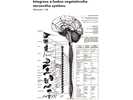 Integrace a funkce vegetativního nervového systému