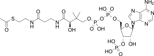 Acetyl-CoA-2D