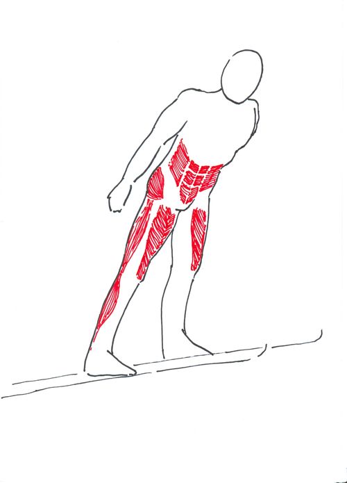 Nejvíce zatěžované svaly při skocích na lyžích