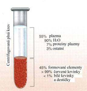 Hematokrit – objem formovaných krevních elementů vyjádřený v procentech celkového množství krve (upraveno podle: Wilmore J. H., 2004)