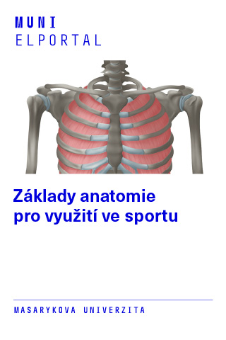 Základy anatomie pro využití ve sportu