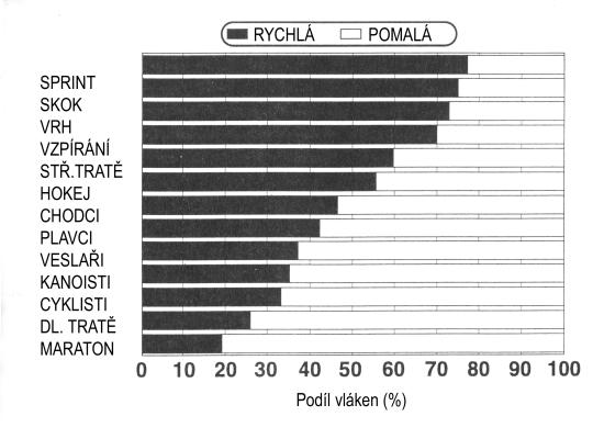 Podíl pomalých a rychlých vláken u sportovců různých specializací (modifikováno podle Meško, D. a kol., 2005 – není však upřesněno, o který sval se jedná)