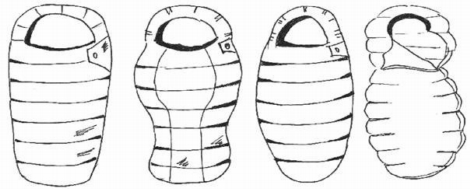 Tvary spacích pytlů zleva – mumie, anatomický, oválný, rozšířený