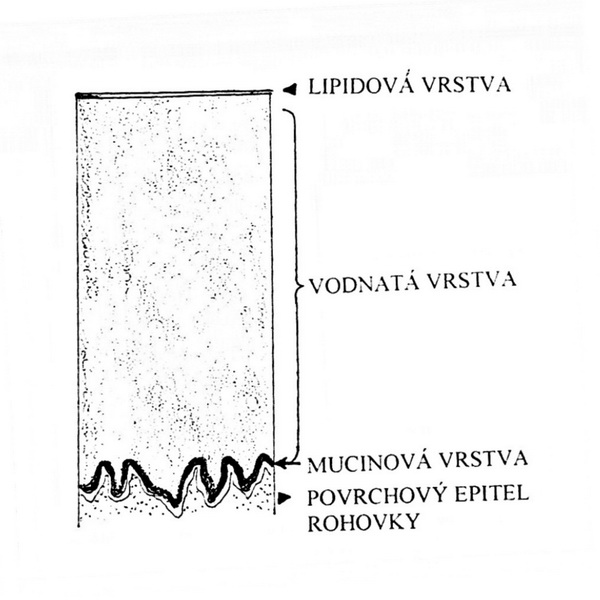 Schema 4 – slzný film