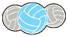 Logo Projektu Volejbal