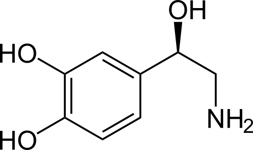 Noradrenalin_-_Noradrenaline