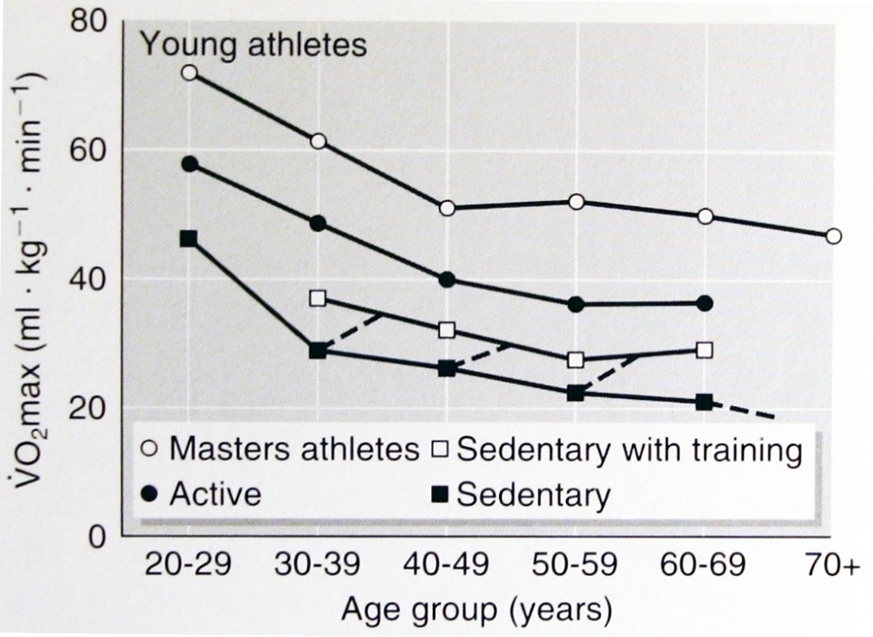 Srovnání rozdílu ve VO<sub>2</sub> max v průběhu života u trénovaných osob a osob bez pohybové aktivity (Siedentop & Van der Mars, 2012)