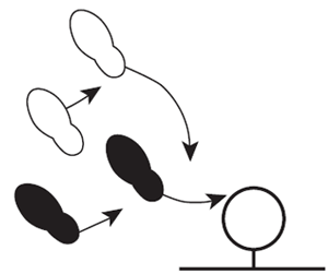 Obr. 32: Drop step middle – zakročení obránce do středu