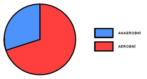 Podíl aerobního a anaerobního krytí během stíhacích závodů