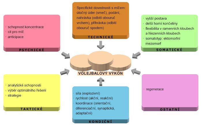 Faktory sportovního výkonu – volejbal.