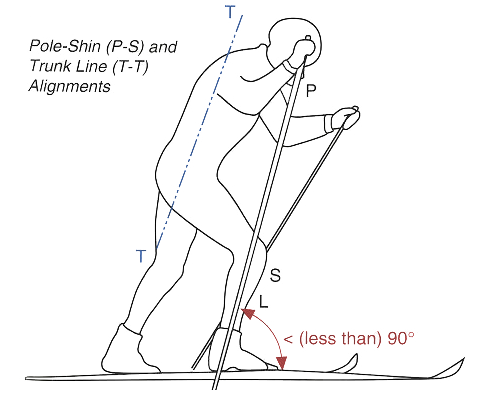 Obr. 20 Správné postavení lyžaře pro vznik linie T-T 