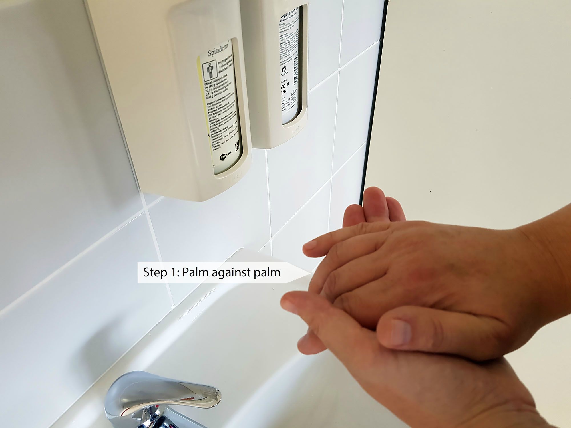 Procedure for rubbing the disinfectant solution during hygienic hand disinfection (Step 1)