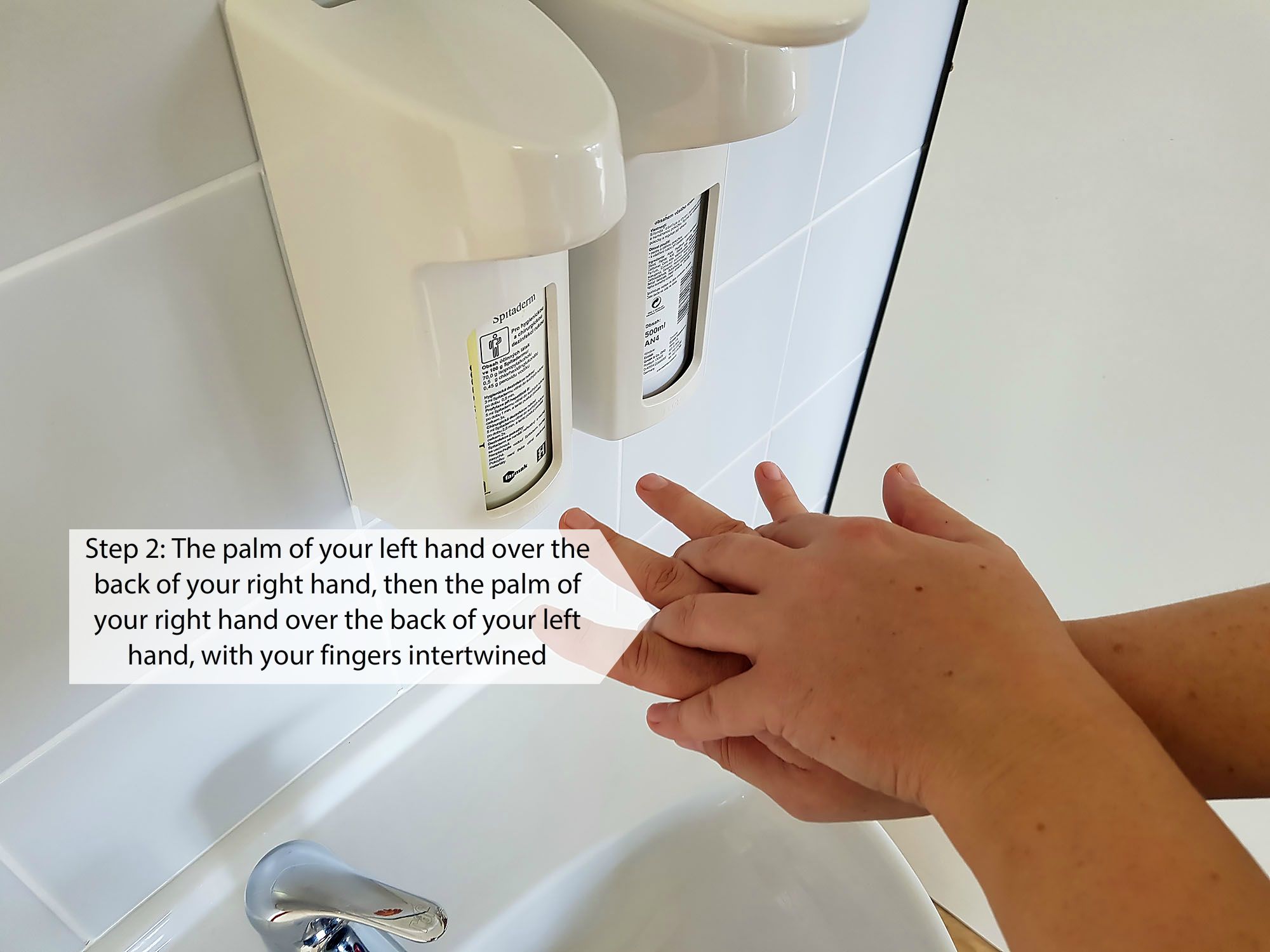 Procedure for rubbing the disinfectant solution during hygienic hand disinfection (Step 2)