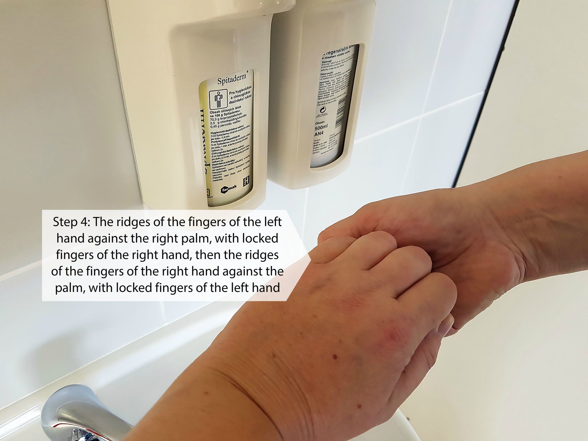 Procedure for rubbing the disinfectant solution during hygienic hand disinfection (Step 4)