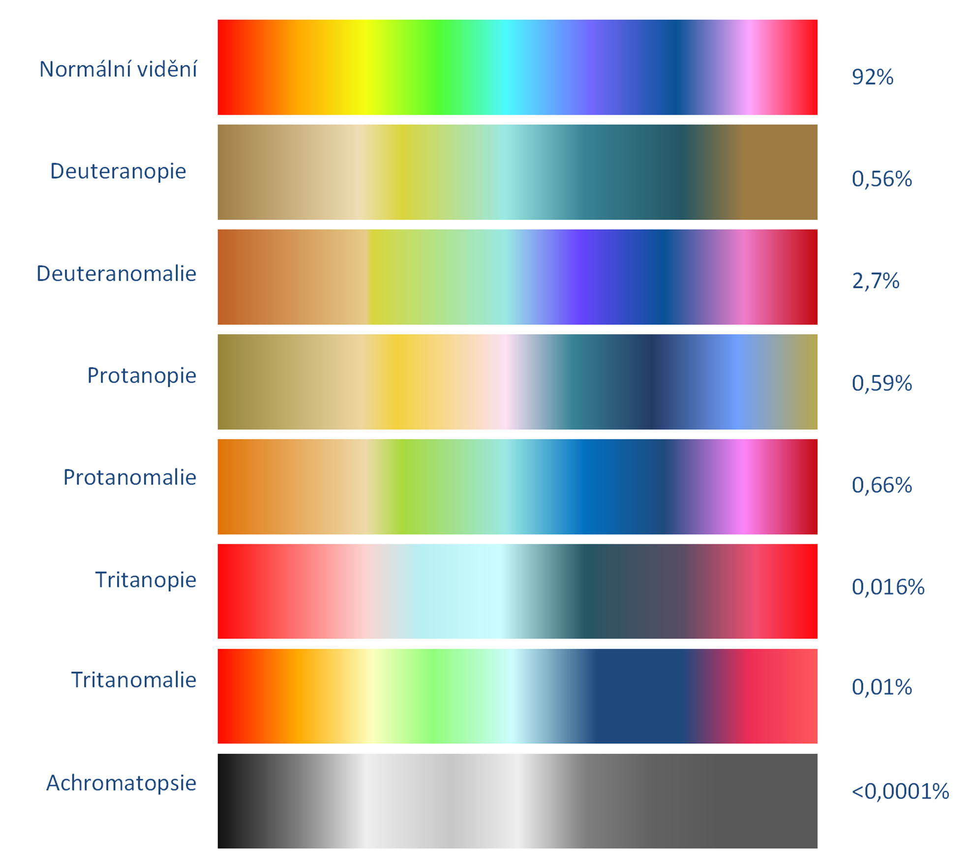 Vnímání spektra viditelného světla u zdravých osob a u osob s poruchami barvocitu, včetně informace o procentuálním výskytu poruch barvocitu v populaci.