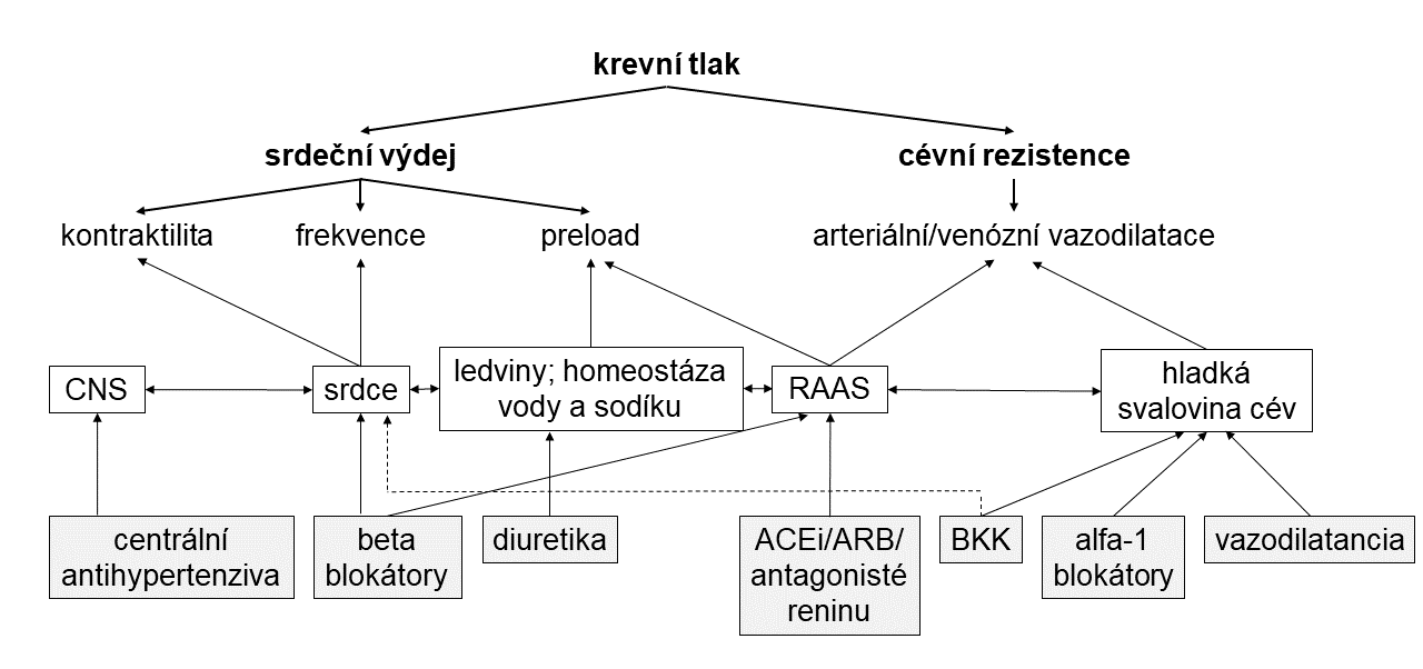 Způsoby ovlivnění krevního tlaku nejběžnějšími antihypertenzivy