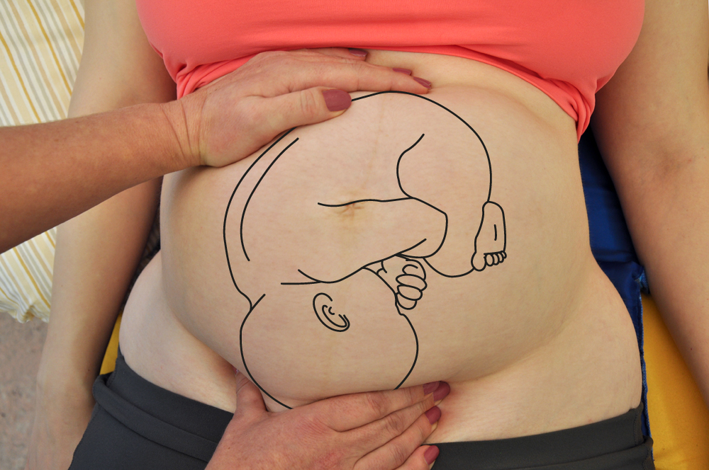 4. Prenatální péče o ženu s fyziologickým těhotenstvím | Vybrané kapitoly  porodní asistence I | Lékařská fakulta Masarykovy univerzity