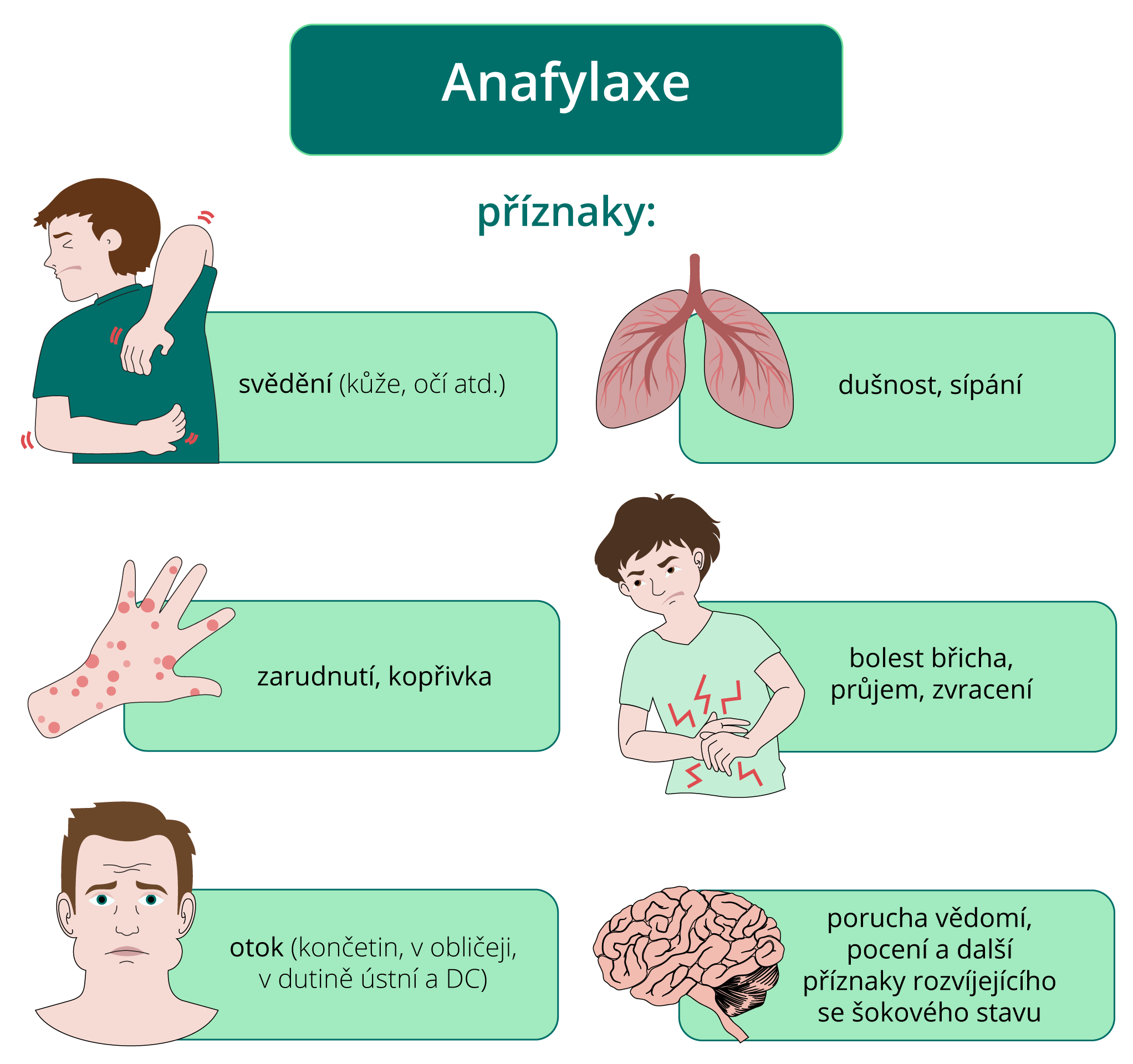 Příznaky anafylaxe