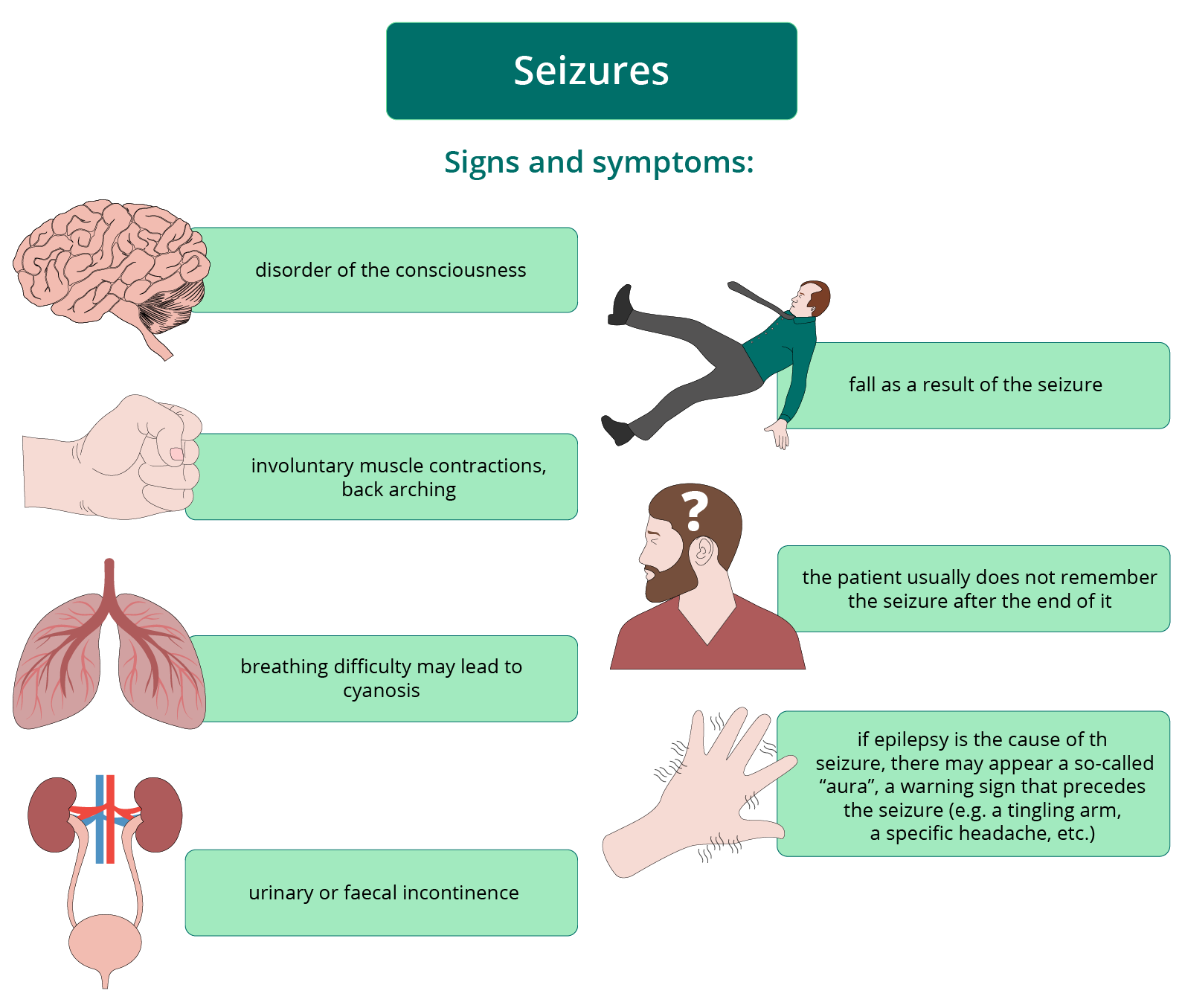 Seizures Other Life Threatening Conditions First Aid Faculty Of