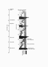 Obr. 4 Vývoj teplot v ledových a meziledových dobách a vznik předchůdců člověka. Doplněno V. Cílek in Ottův historický atlas, Praha, 2007.