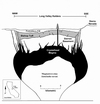 Obr. 95 Geologické schema přepokládaného magmatického krbu pod kalderou Long Valley v Kalifornii.