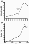 Obr. 110 Emise oxidů síry (a) a HgS (b).