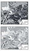 Obr. 61 Rozsah lesů na území Evropy v r. 990 a v r. 1990 n.l. indikuje postup odlesnění. Goudie et al., 2006