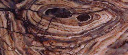 Stromatolit archaického stáří (cca 3,5 mld. l. BP)