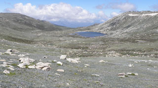 Kvetoucí horská krajina alpínského pásma pod Mount Kosciuszko