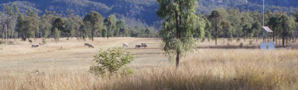 Venkov – Queensland