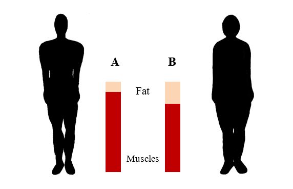 Differences in body composition with the same BMI