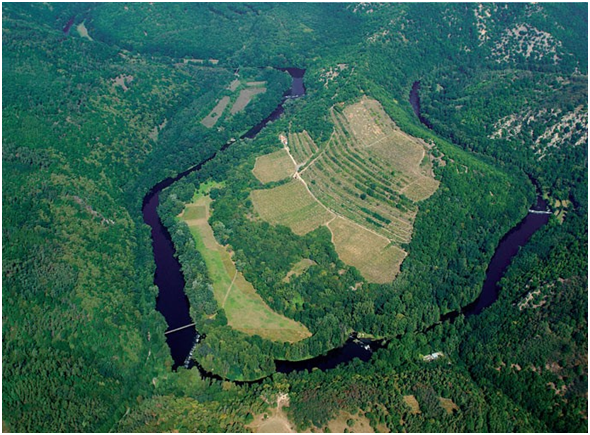 Zaklesnutý meandr řeky Dyje