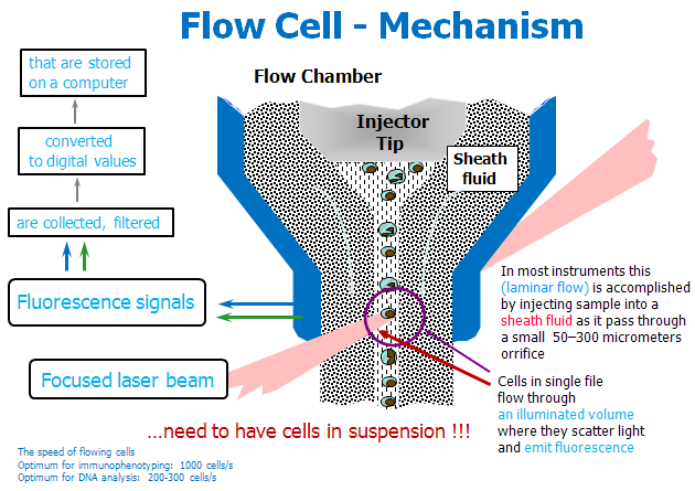 Flow Cell – Mechanism