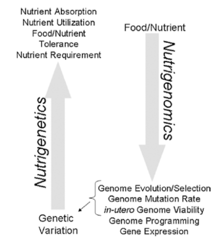 Interakce živin a genomu