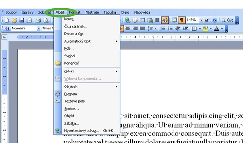 Obr. 2: MS Word 2003 – Nabídka Vložit