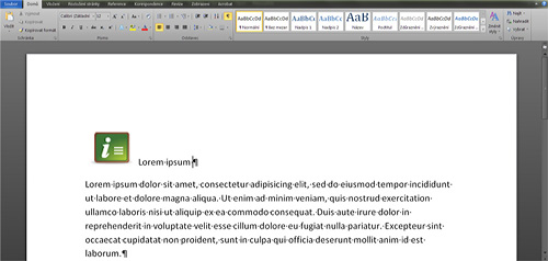 Obr. 13: MS Word 2010 – Text s vloženou ikonkou
