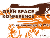 Open space 2011