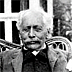 William Bateson, Wilhelm Johannsen