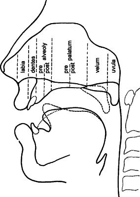 Fonetické dělení patra (dle Hála, 1960)