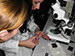 Photography from Practicals