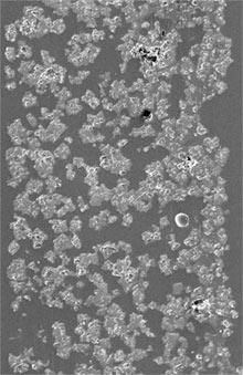 Obr. 66.: V budoucnu se možná dočkáme léčiv, která budou zabudována přímo do struktury hydrogelu čočky. Fotografie z elektronového mikroskopu zachycuje antibiotikum ciprofloxacin rozpuštěné v biodegradabilním polymeru, ze kterého se dá vyrobit kontaktní čočka.