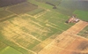 Obr. 33 Půdní eroze v zemědělsky obdělávané krajině. Ostroměř u Jičína. Gojda, 2000.