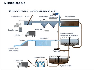 Biotransformace - čištění odpadních vod, prezentace paní Mgr. Šárky Bidmanové, Ph.D. (PřiF)