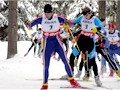 Volný způsob běhu na lyžích